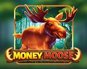 Money Moose